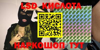 винт Можга